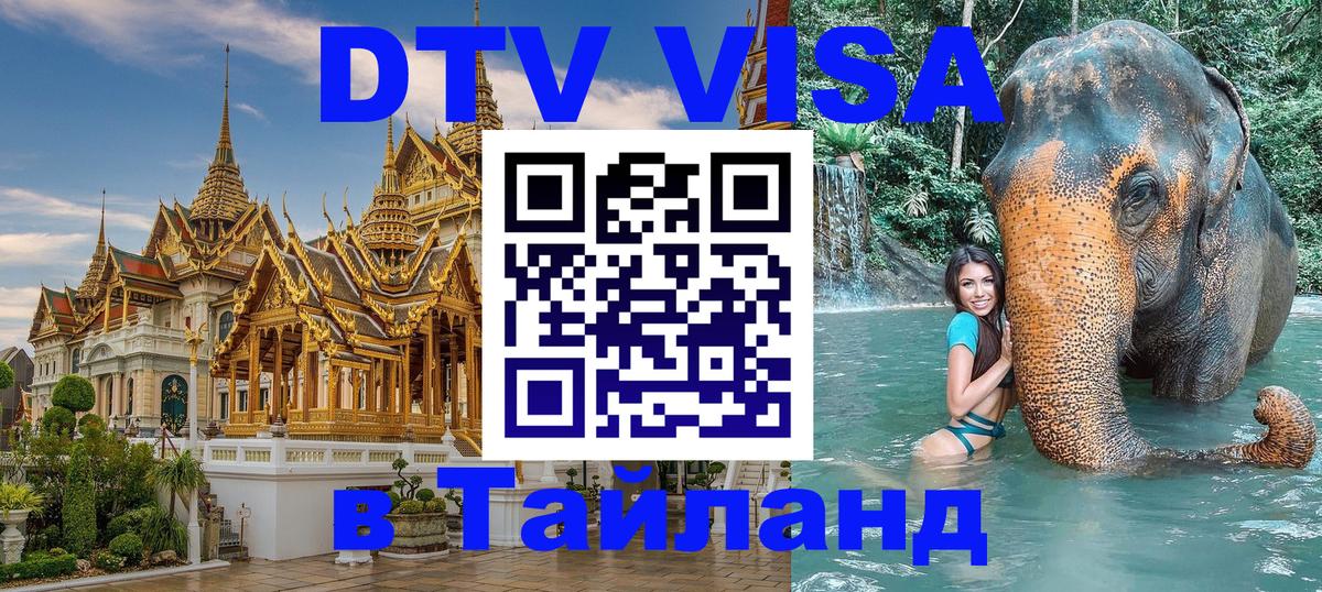 Оформление DTV визы под ключ: стоимость и тарифы, только загранпаспорт - 